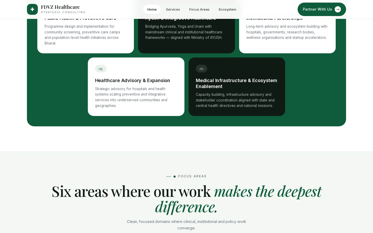 FDVZ Healthcare focus areas section with consulting service cards