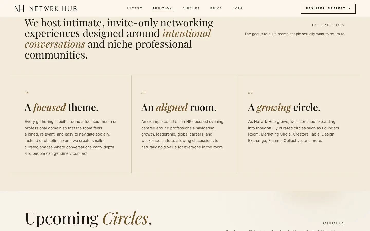Netwrkhub page explaining focused themes, aligned rooms, and growing professional circles